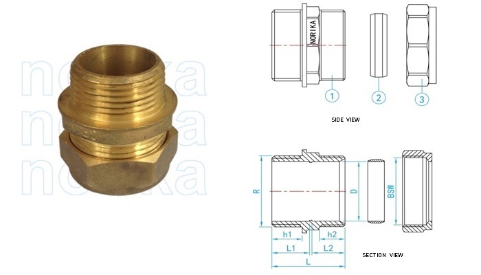 Compression MI Coupler